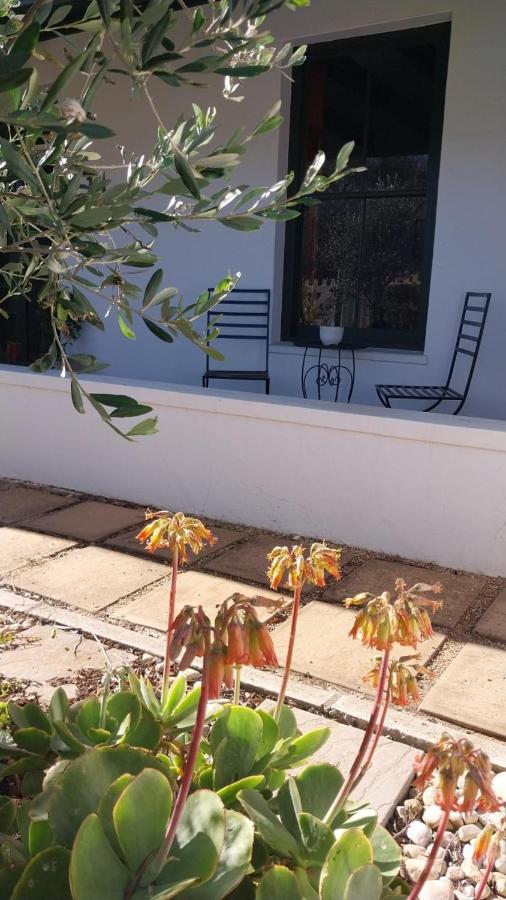 6 Olives B&B Darling Buitenkant foto